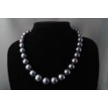 A set of graduated freshwater cultured black pearls measuring from 11.50mm to 14.