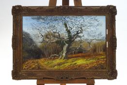 20th century School, Study of a Tree, oil on canvas,
