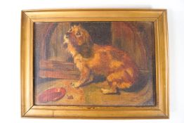 Style of Emms, Study of a Terrier, with an empty food bowl, oil on canvas, 17.5cm x 25.