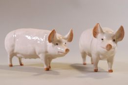 A pair of Beswick pigs, printed and painted marks 'CH Wall CH Boy 53' and 'CH Wall Queen 40',