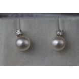 A white metal two stone pair of cultured pearl and diamond stud earrings.