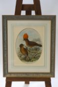 A 19th century lithograph of two birds, oval.