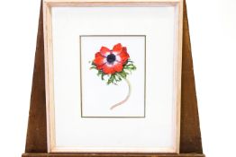 J Watkins, An anemone, watercolour, signed mid right, 18.