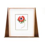 J Watkins, An anemone, watercolour, signed mid right, 18.