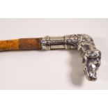 A walking stick with white metal dogs head,