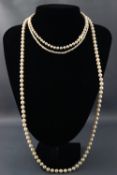 A selection of cultured and freshwater strung pearl necklaces 68.