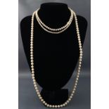 A selection of cultured and freshwater strung pearl necklaces 68.