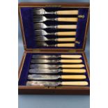 A mahogany cased set of electroplated fish knives and forks with bone handles and silver collars,
