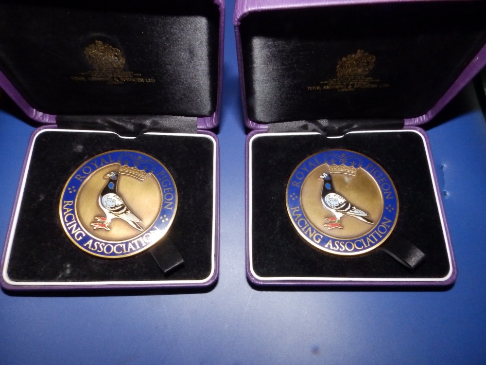 Two 2012 Pigeon Racing medals in Toye, Kenning & Spencer boxes.