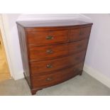 An early 19thC mahogany bow front chest of two short & three long graduated drawers with oval