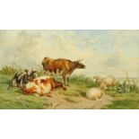 19th century English School, watercolour, cattle and sheep in landscape. 20 cm x 34 cm.