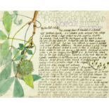 Percy Kelly, watercolour illustrated letter on computer paper, horse chestnuts April 1982.