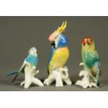 Three Karl Ens porcelain figures, budgerigar, parrot and cockatoo, each on branch,