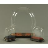 Three Victorian glass domes, each with wooden base.
