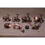 7 reels, to include Abu multiplier, Zebco 202 closed face and K.P. Morritt Intrepid Deluxe.