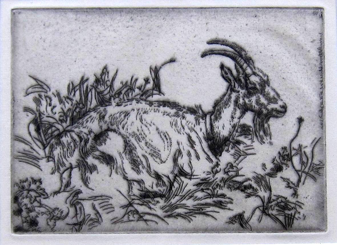 LEON UNDERWOOD [1890-1975]. Goat, 1921. etching, edition of 50 [10/50]. A rare print, so unlikely