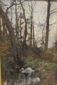 THEODORE HINES (1810-1890) "The swan", study of a swan on pond in a woodland, oil on board,