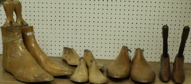 Five pairs of various shoe trees