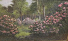 20TH CENTURY ENGLISH SCHOOL "Figure amongst rhododendrons with woodland in the background",