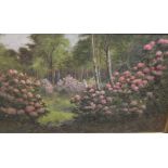 20TH CENTURY ENGLISH SCHOOL "Figure amongst rhododendrons with woodland in the background",