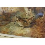 AFTER ARCHIBALD THORBURN "Woodcock", limited edition colour print, No'd.