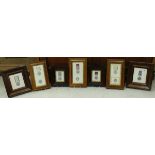 A collection of seven framed and glazed hand-painted studies of medals including Crimea medal,