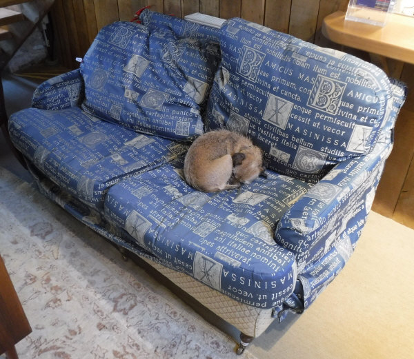 A modern two seater Wesley Barrel sofa raised on ringed and turned mahogany front legs to brass