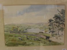 ANGUS RANDS (1922-1985) "Gouthwaite from Heathfield", landscape with sheep in foreground,