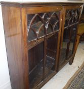An early 20th Century mahogany two door glazed display cabinet