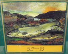 20TH CENTURY ENGLISH SCHOOL "The Shannon side - Salmon - Trout", colour print,