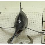 A taxidermy mounted Marlin fore end / head,