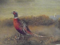 EDITH A PENN "Pheasant in clearing", oil on canvas,