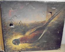 W H WOODS "Pheasant", still life study, oil on canvas,