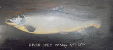 20TH CENTURY BRITISH SCHOOL Salmon - "River Spey 16th May 1929 30lbs", oil on card,