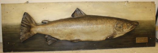 A large painted Salmon cast on painted backboard,