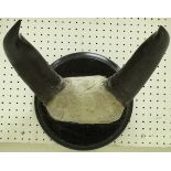 A skull cap mounted pair of Bull horns,