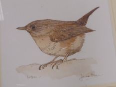 DAVINA OWEN "Wren", watercolour, signed and titled,