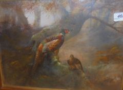 WILLIAM E POWELL "A Sanctuary", a study of two pheasants in a wood, watercolour on fabric,