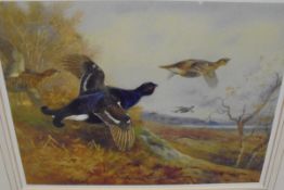 AFTER ARCHIBALD THORBURN "Grouse in flight", limited edition colour print No'd.