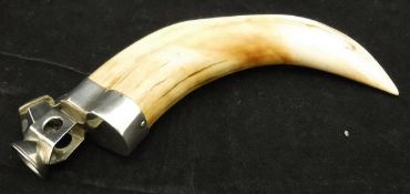 An early 20th Century white metal cigar cutter, mounted on a boar's tusk,
