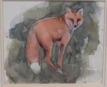 20TH CENTURY ENGLISH SCHOOL "Study of a fox", watercolour,