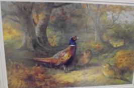 AFTER ARCHIBALD THORBURN "Pheasants in wood", colour print, limited edition No'd.