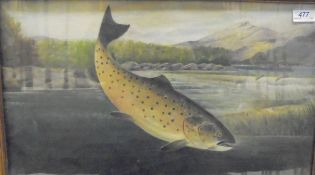 LATE 19TH / EARLY 20TH CENTURY ENGLISH SCHOOL "Trout", oil,