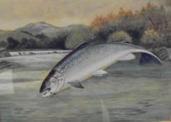 AFTER ROLAND KNIGHT "Hooked salmon", watercolour, signed lower right,