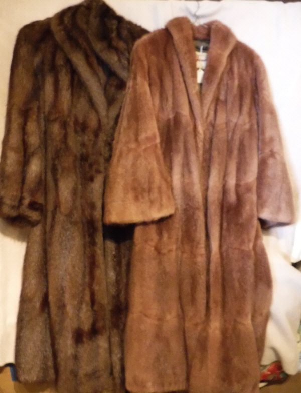 Two musquash full length fur coats, one dark brown,