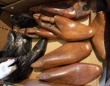 A box containing various wooden shoe lasts,