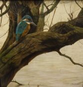 JOHN TRICKETT (1953-) "Kingfisher", study of a Kingfisher on branch, oil on board,