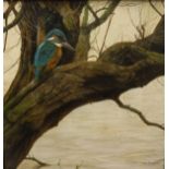 JOHN TRICKETT (1953-) "Kingfisher", study of a Kingfisher on branch, oil on board,