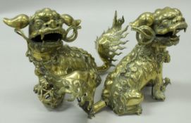 A pair of Chinese polished bronze Dog of Fo figures, one with left paw upon a lattice work ball,