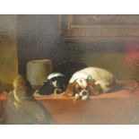 19TH CENTURY BRITISH SCHOOL "King Charles spaniels at rest on table with wide-brimmed hat and trap